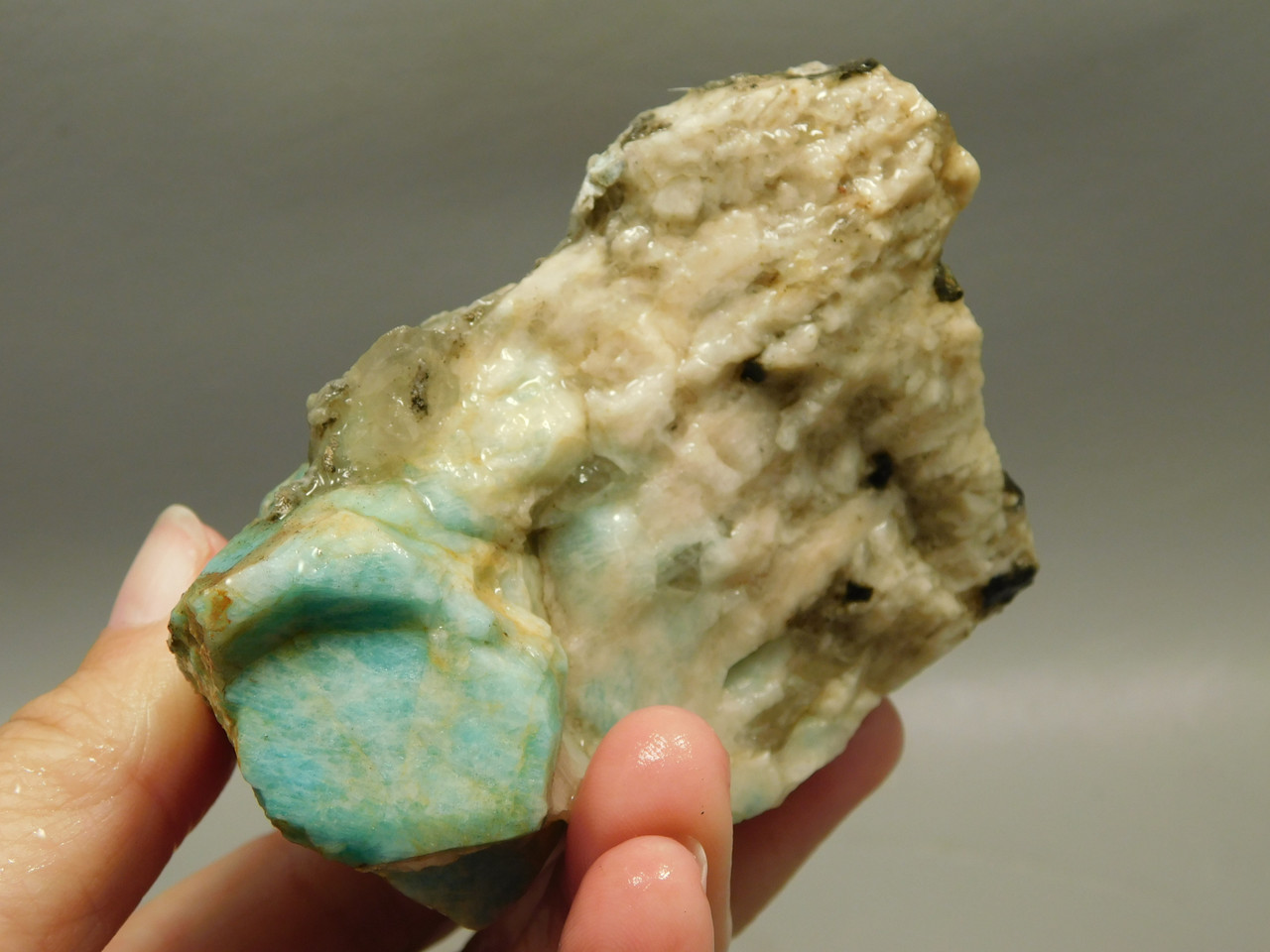 Amazonite Crystal Mineral Specimen Colorado #O2