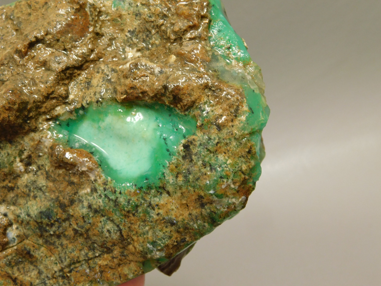 Chrysoprase or Chrysophrase Green Lapidary Rough Rock #O1