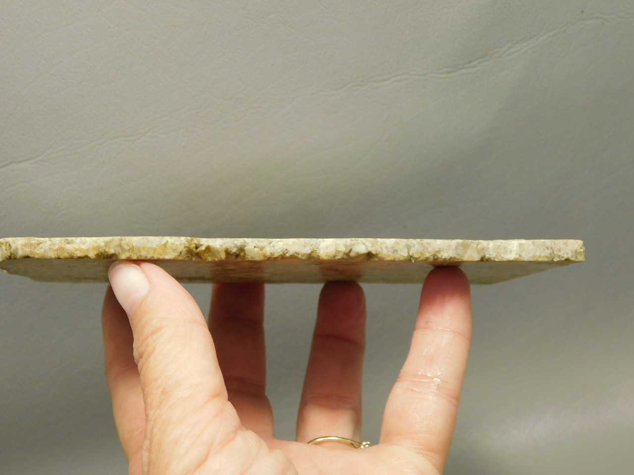 Crinoid Marble Fossil Stone Slab Rough Rock Tennessee #O3