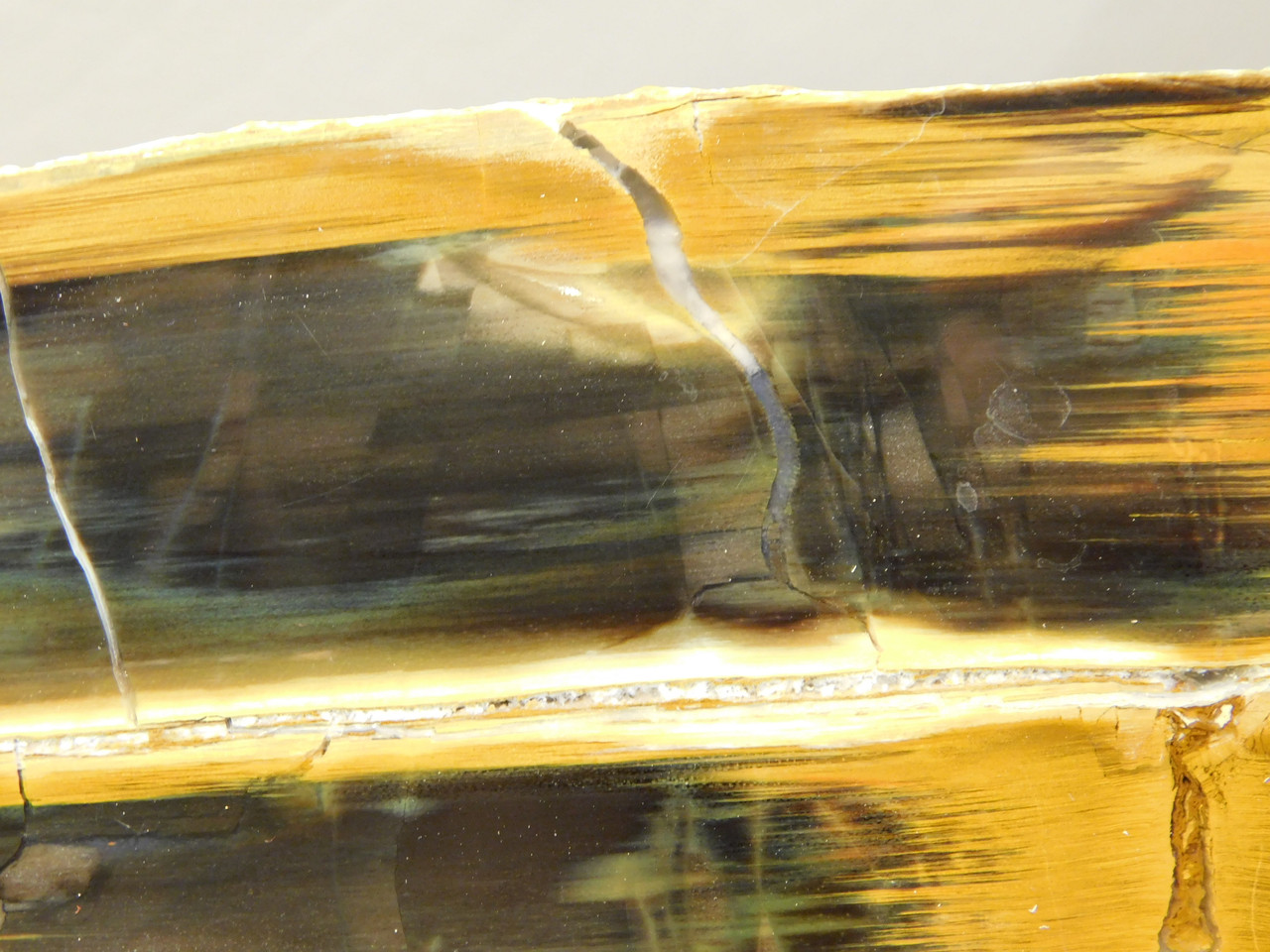 Petrified Wood Antelope Oregon Polished Slab #O152-4