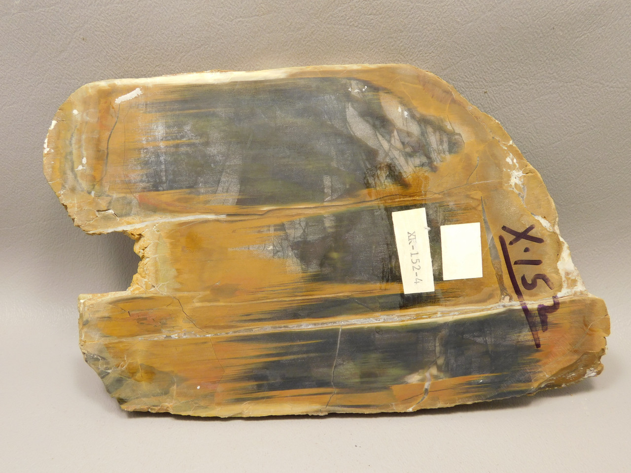 Petrified Wood Antelope Oregon Polished Slab #O152-4