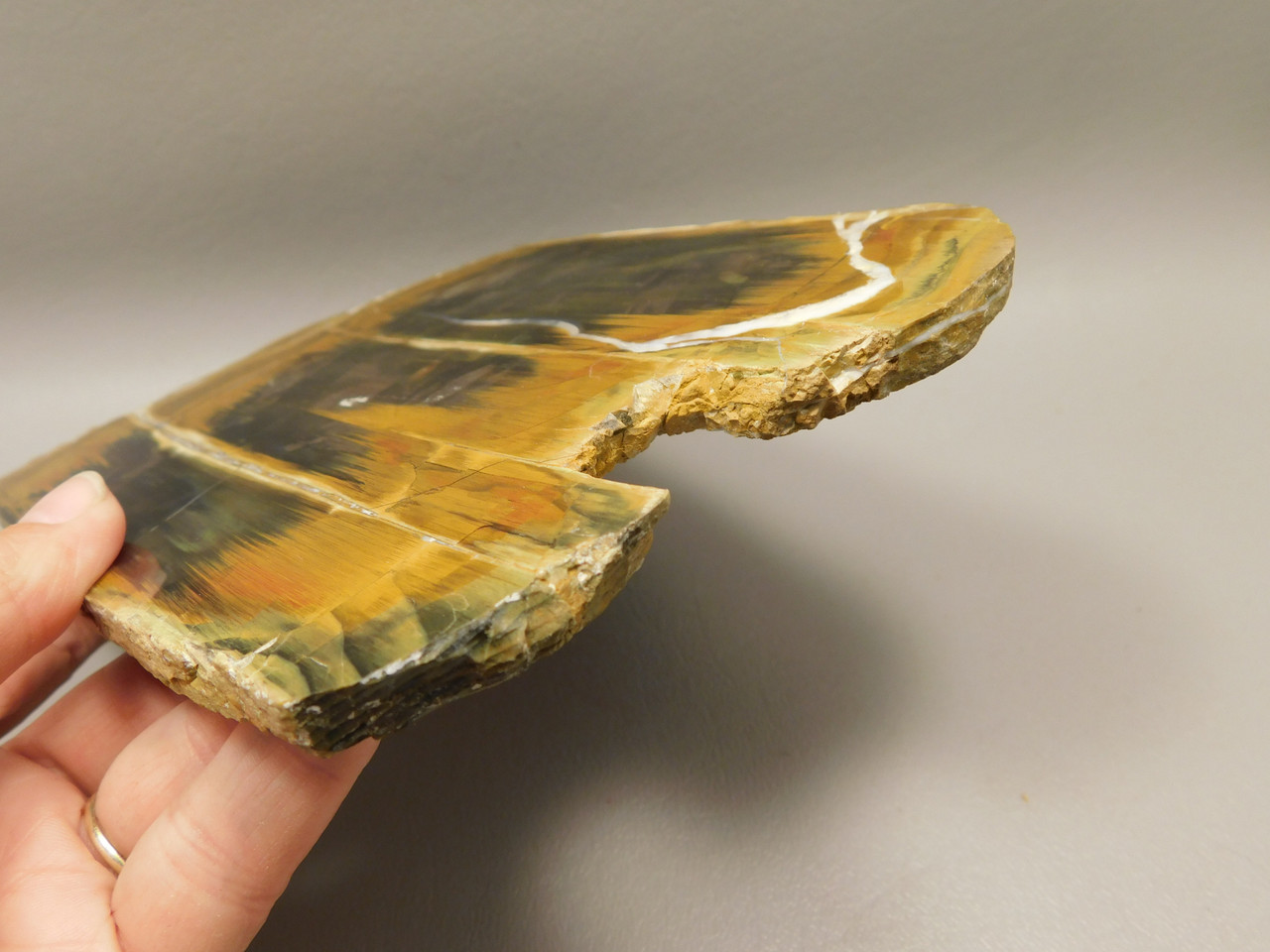 Petrified Wood Antelope Oregon Polished Slab #O152-4