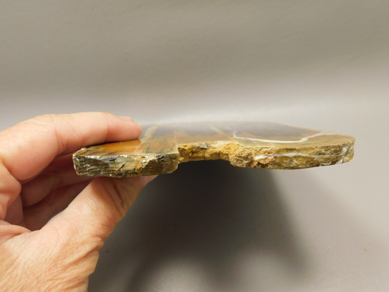 Petrified Wood Antelope Oregon Polished Slab #O152-4