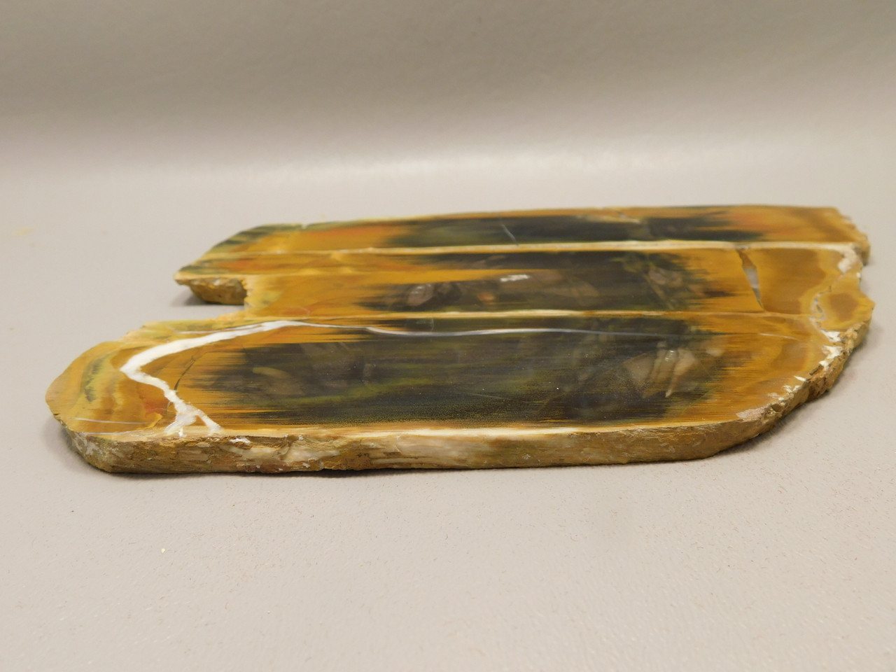 Petrified Wood Antelope Oregon Polished Slab #O152-4
