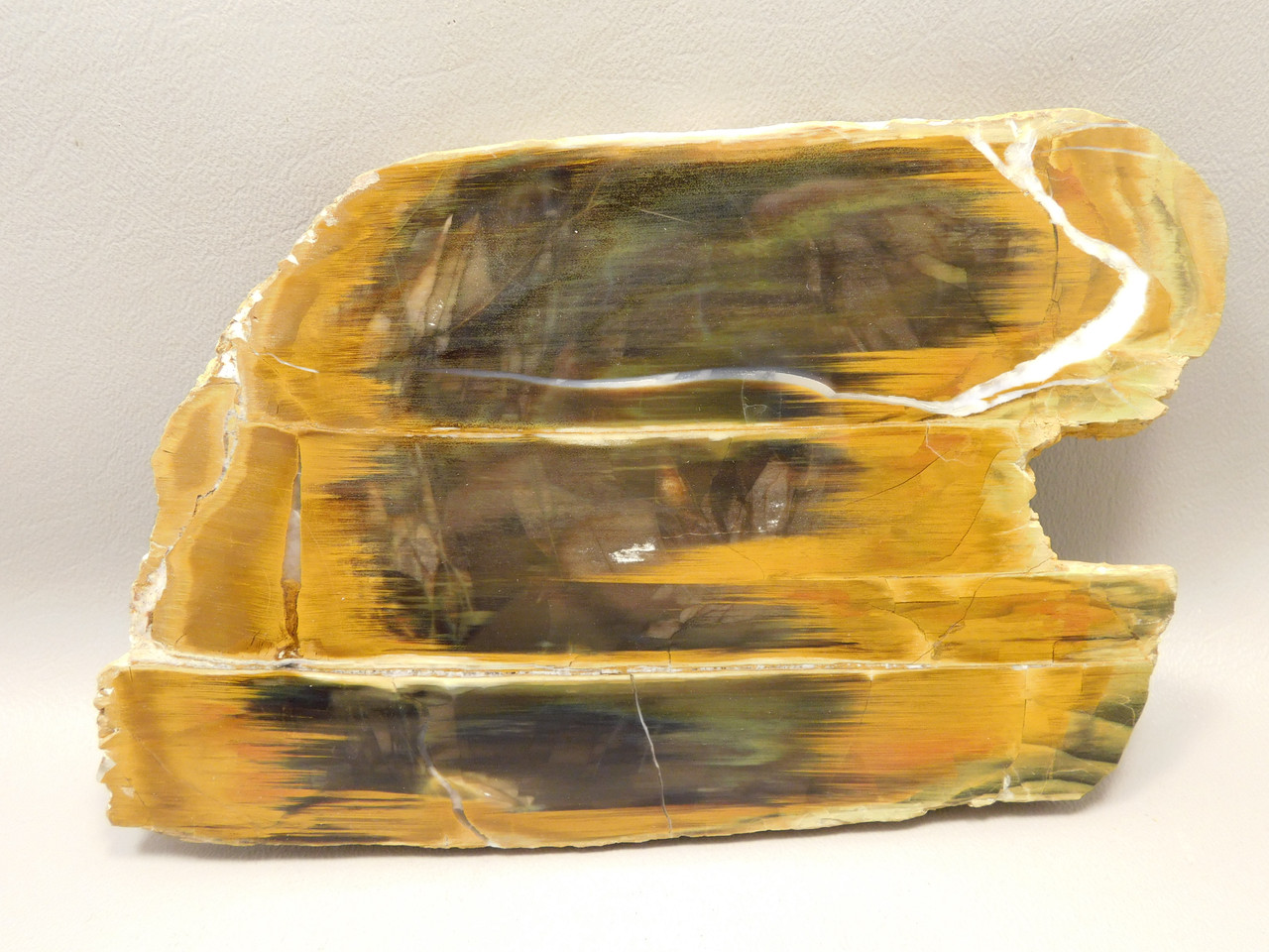 Petrified Wood Antelope Oregon Polished Slab #O152-4