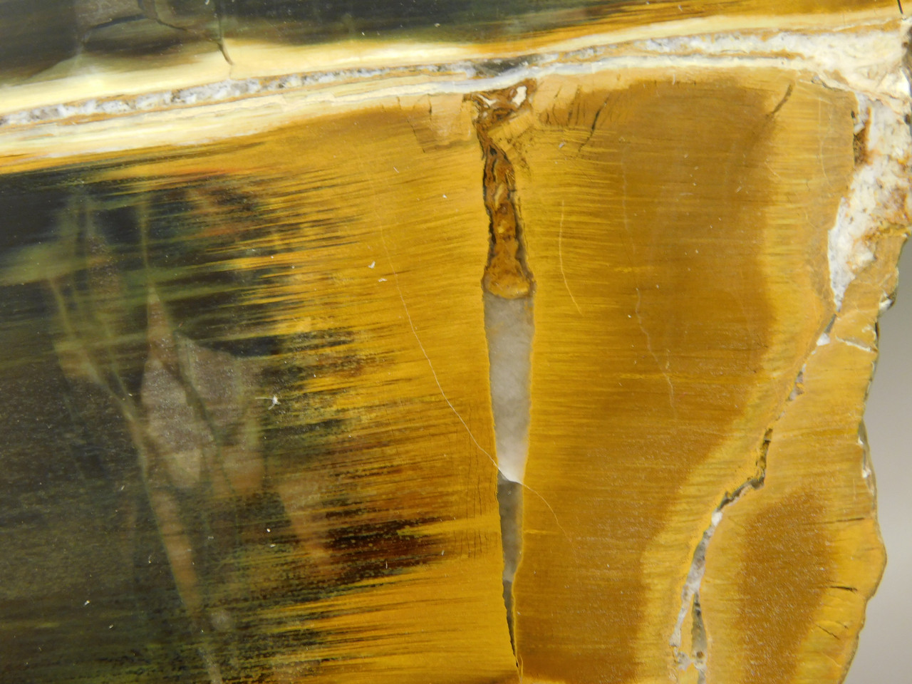 Petrified Wood Antelope Oregon Polished Slab #O152-4
