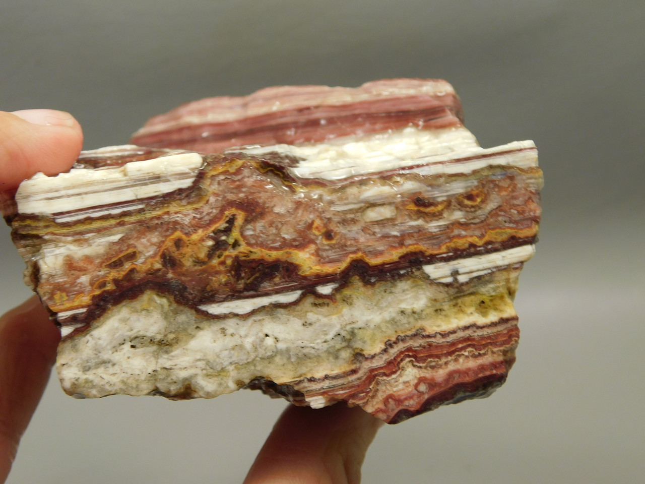 Candy Opal Unpolished Rough Rock Bubble or Bacon Opal #O23