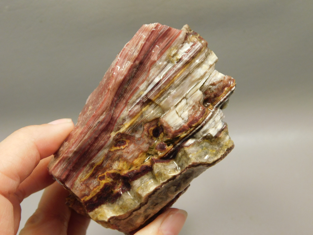 Candy Opal Unpolished Rough Rock Bubble or Bacon Opal #O23