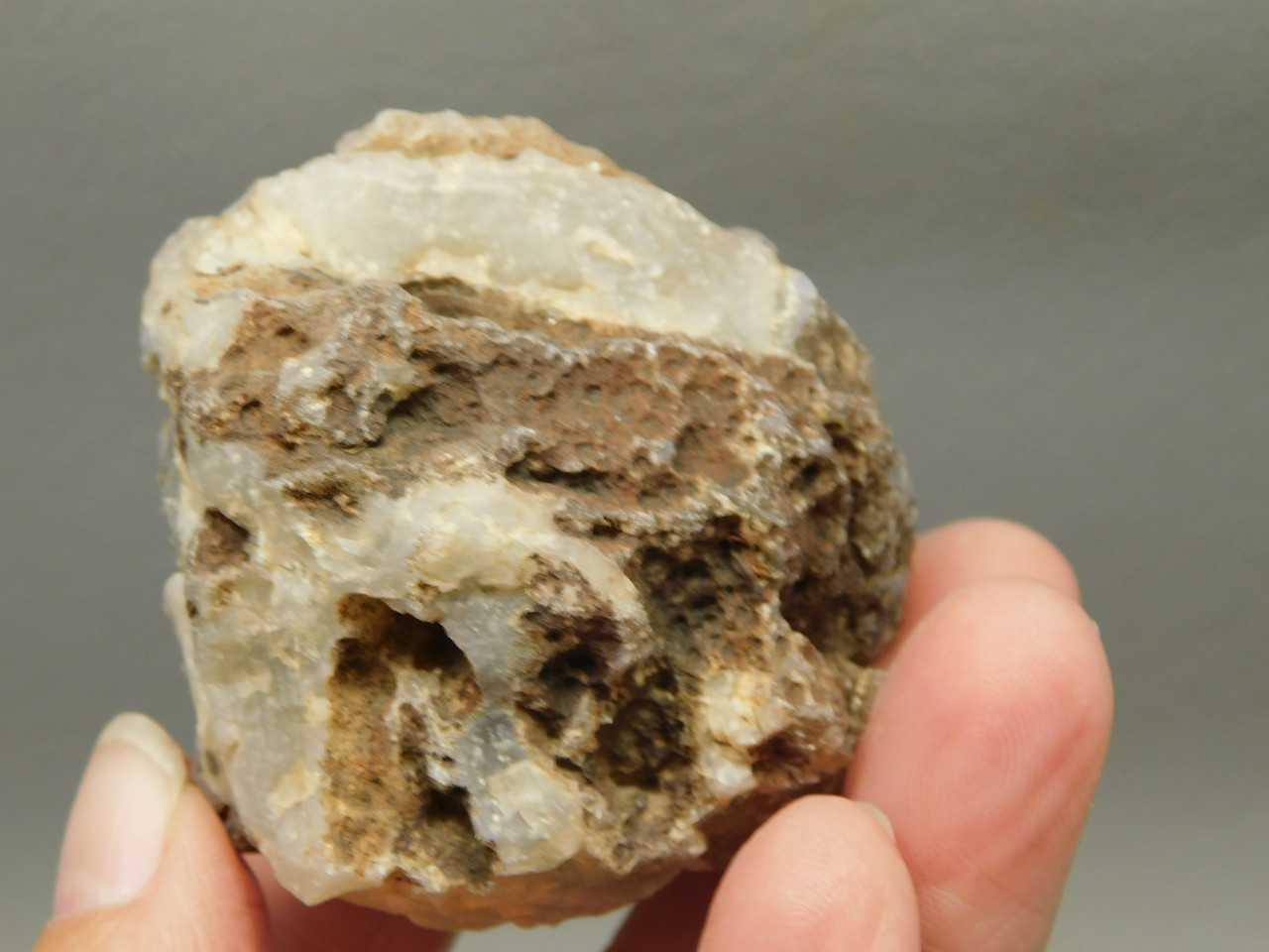 Polka Dot Agate Nodule Unpolished Rock Chuckwalla Springs California #O1