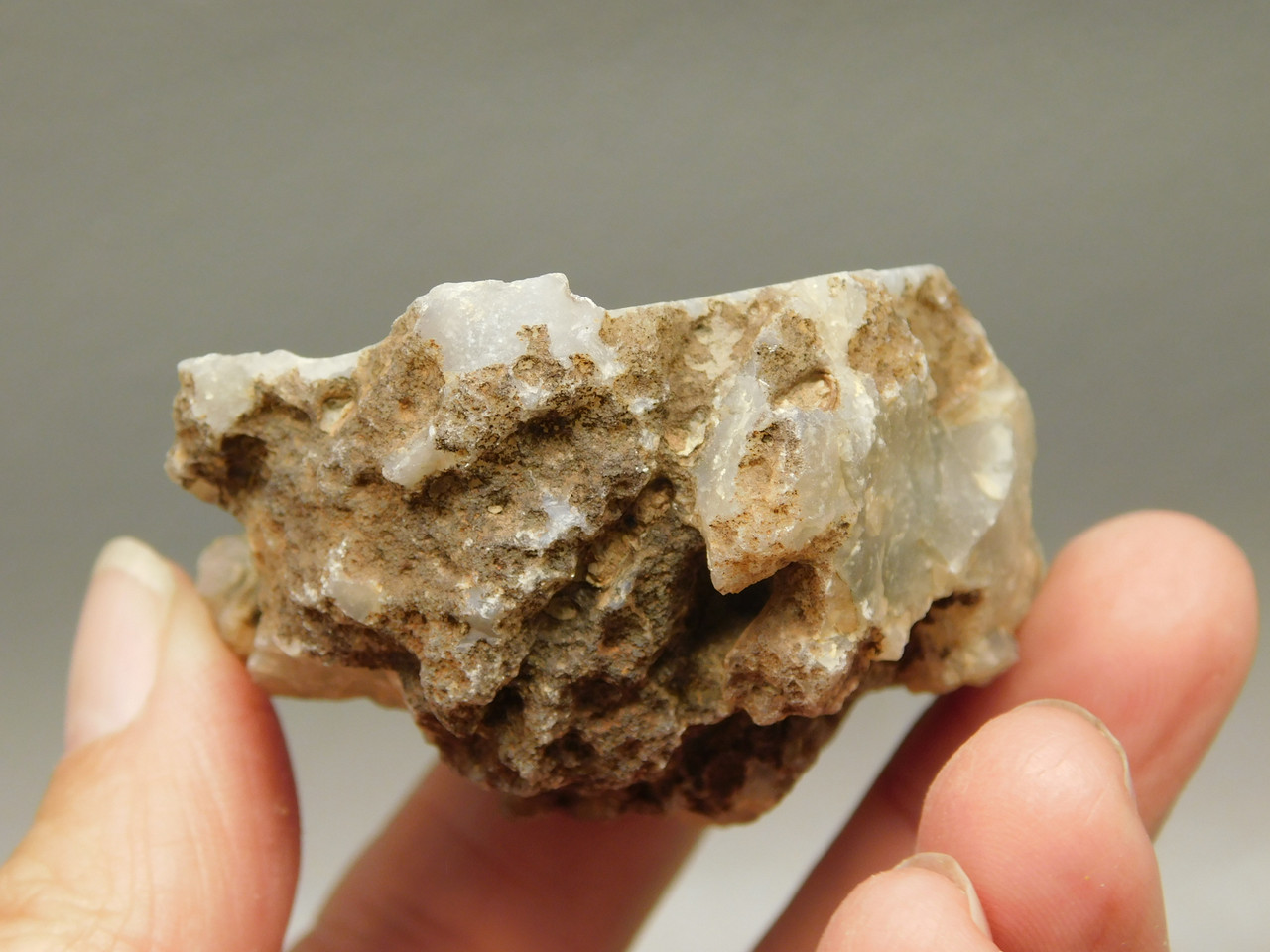 Polka Dot Agate Nodule Unpolished Rock Chuckwalla Springs California #O1