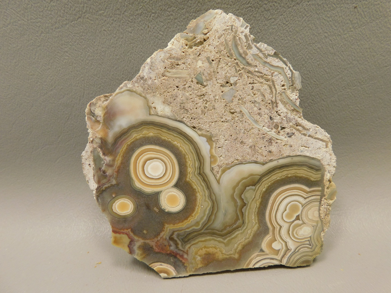 Crazy Lace Agate Stone Endcut Unpolished Rough Rock Mexico #O24
