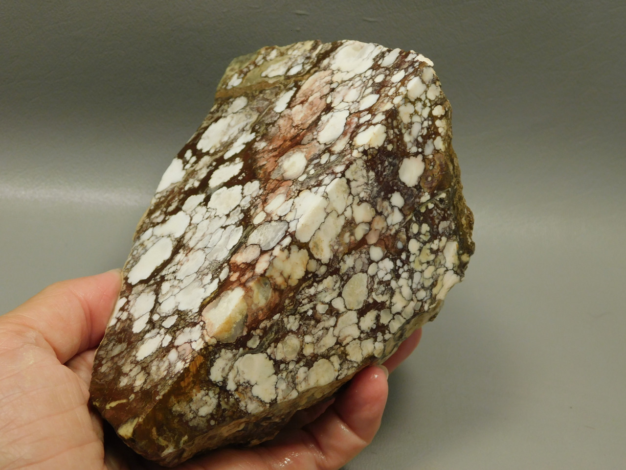 Wild Horse Unpolished Rough Rock Lapidary Arizona #O24