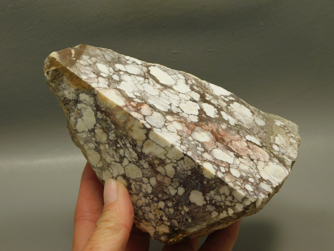 Wild Horse Unpolished Rough Rock Lapidary Arizona #O24