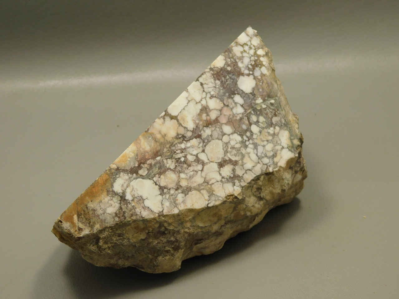 Wild Horse Unpolished Rough Rock Lapidary Arizona #O24