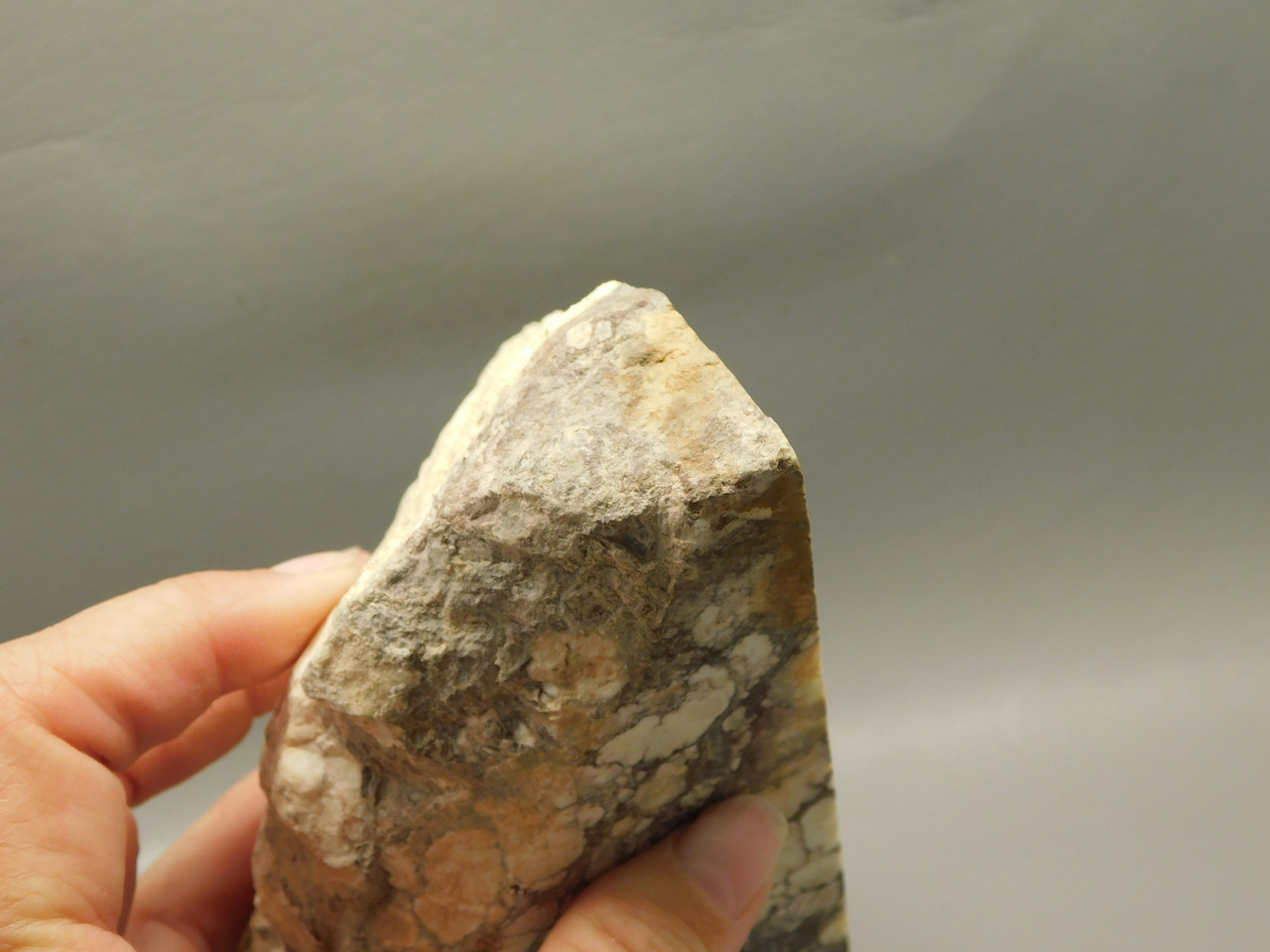 Wild Horse Unpolished Rough Rock Lapidary Arizona #O24