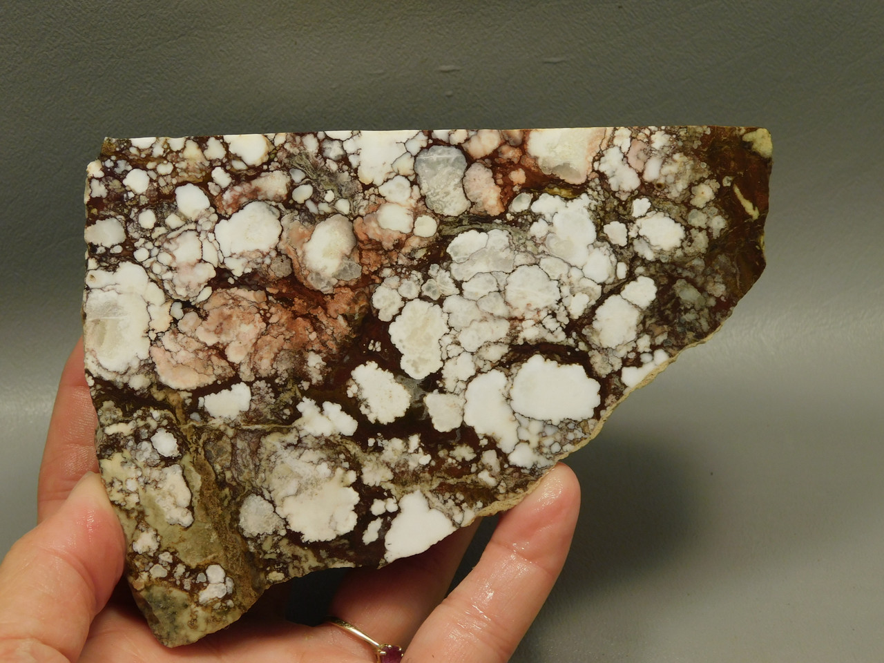 Wild Horse Unpolished Rough Rock Lapidary Arizona #O24