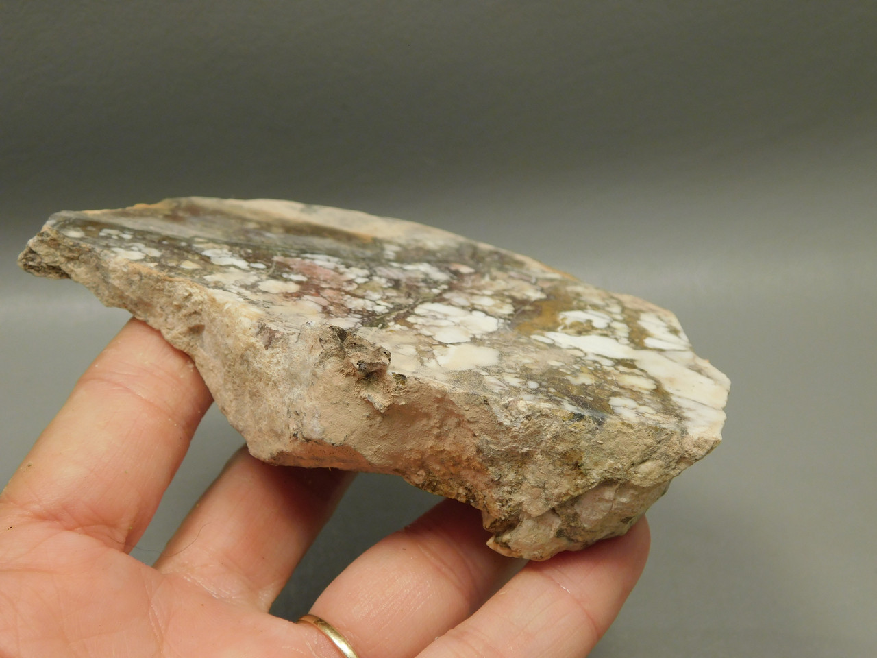 Wild Horse Unpolished Rough Rock Lapidary Arizona #O25
