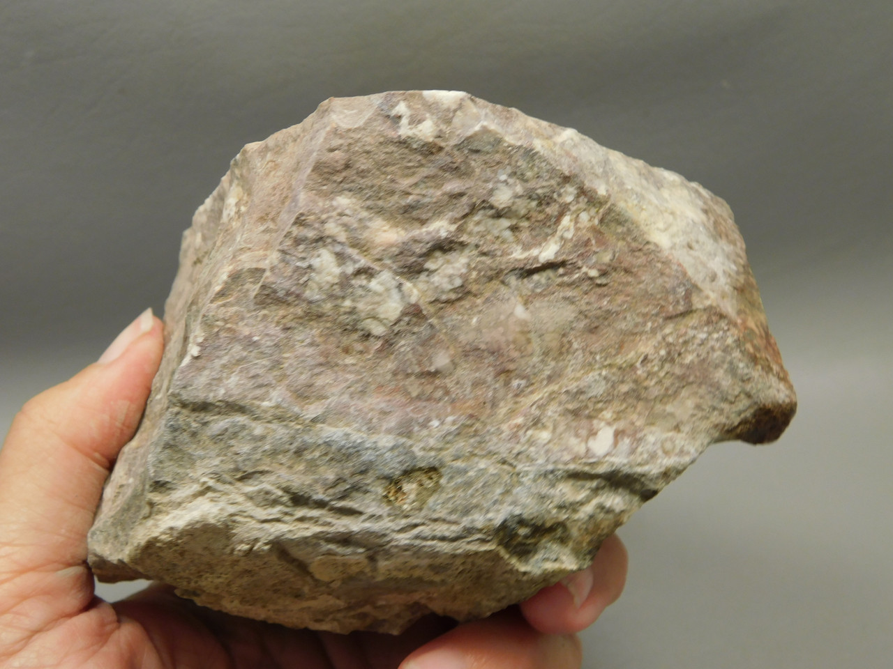 Wild Horse Unpolished Rough Rock Lapidary Arizona #O26