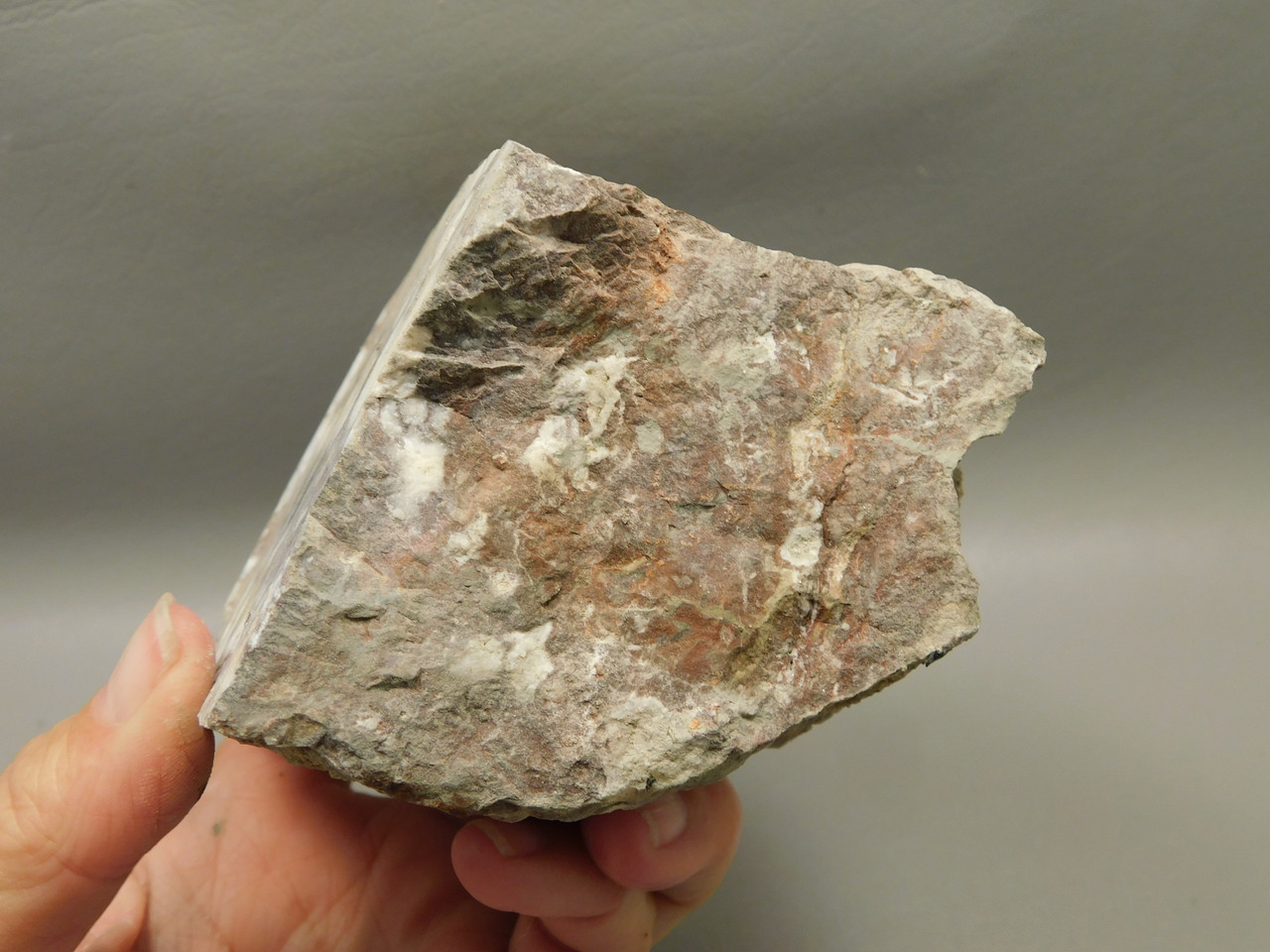 Wild Horse Unpolished Rough Rock Lapidary Arizona #O26