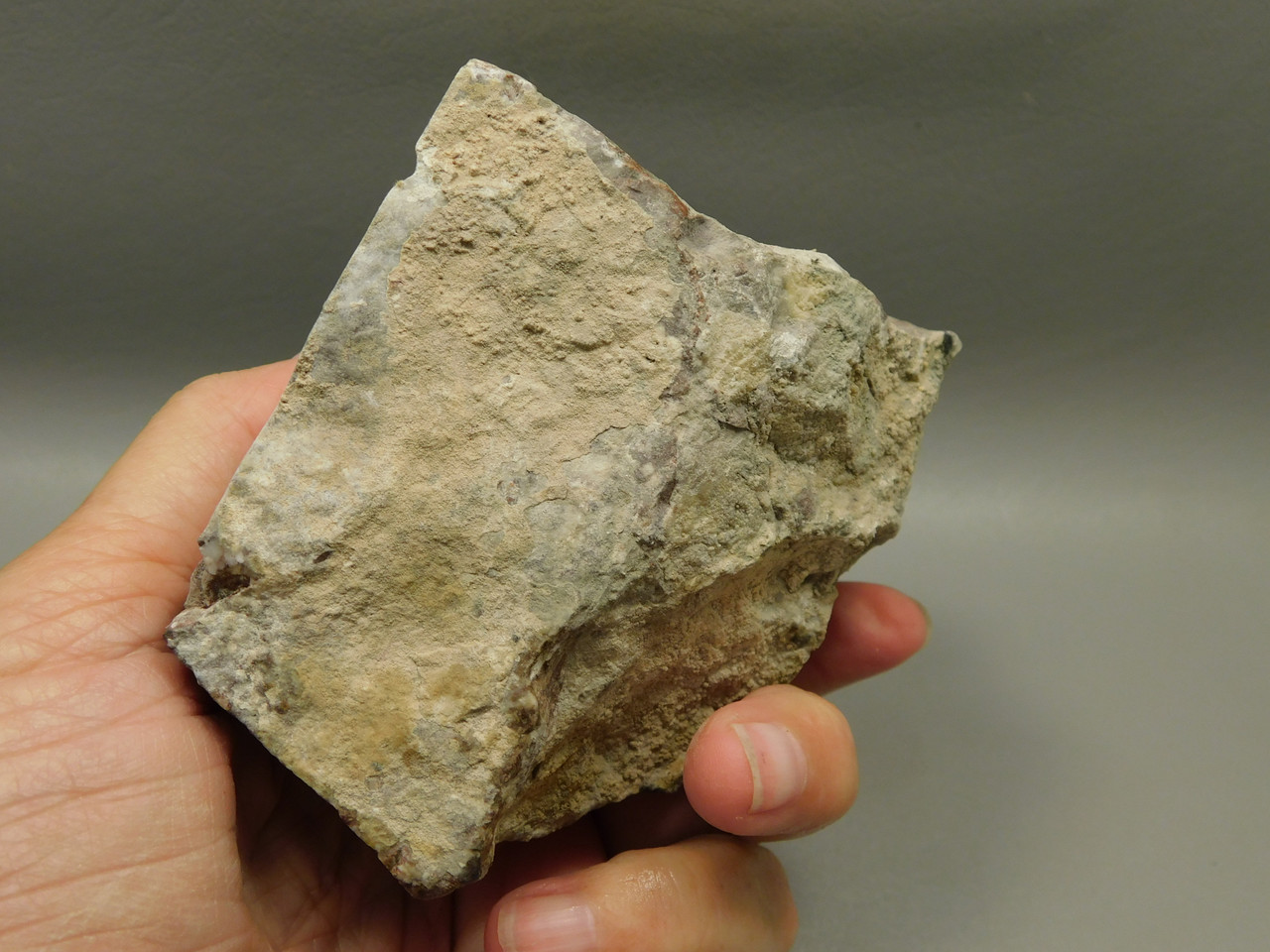 Wild Horse Unpolished Rough Rock Lapidary Arizona #O26