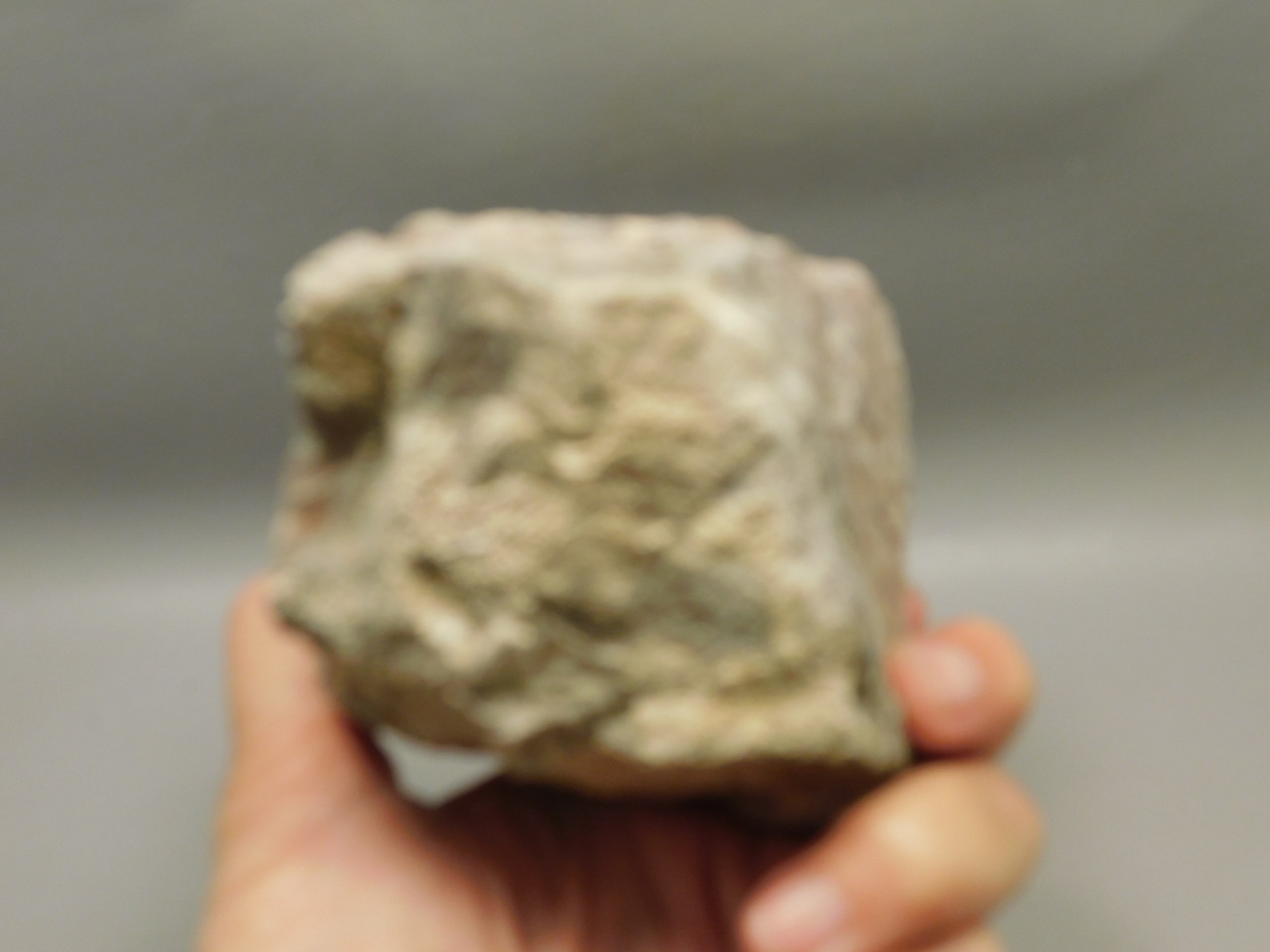 Wild Horse Unpolished Rough Rock Lapidary Arizona #O26