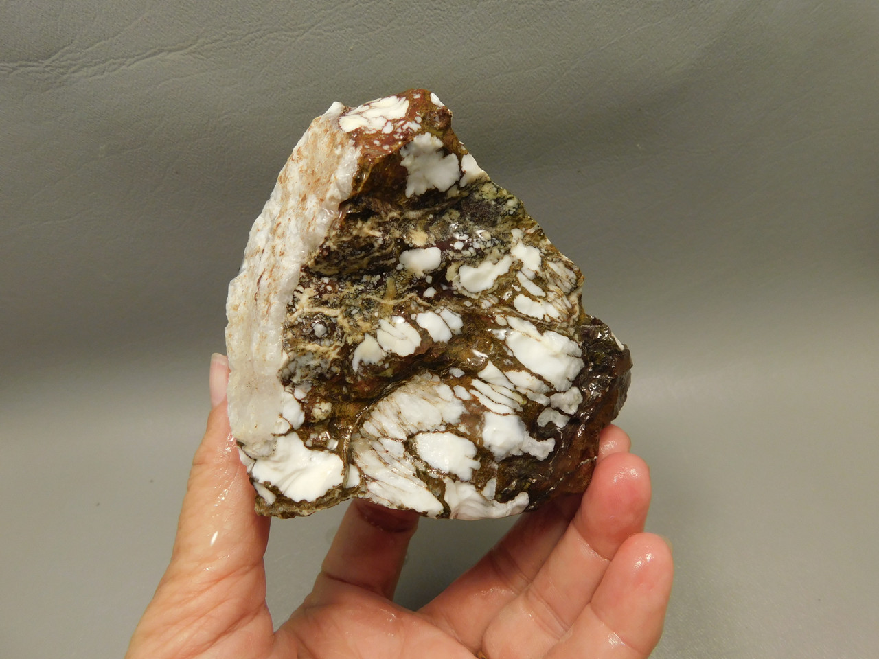 Wild Horse Unpolished Rough Rock Lapidary Arizona #O27