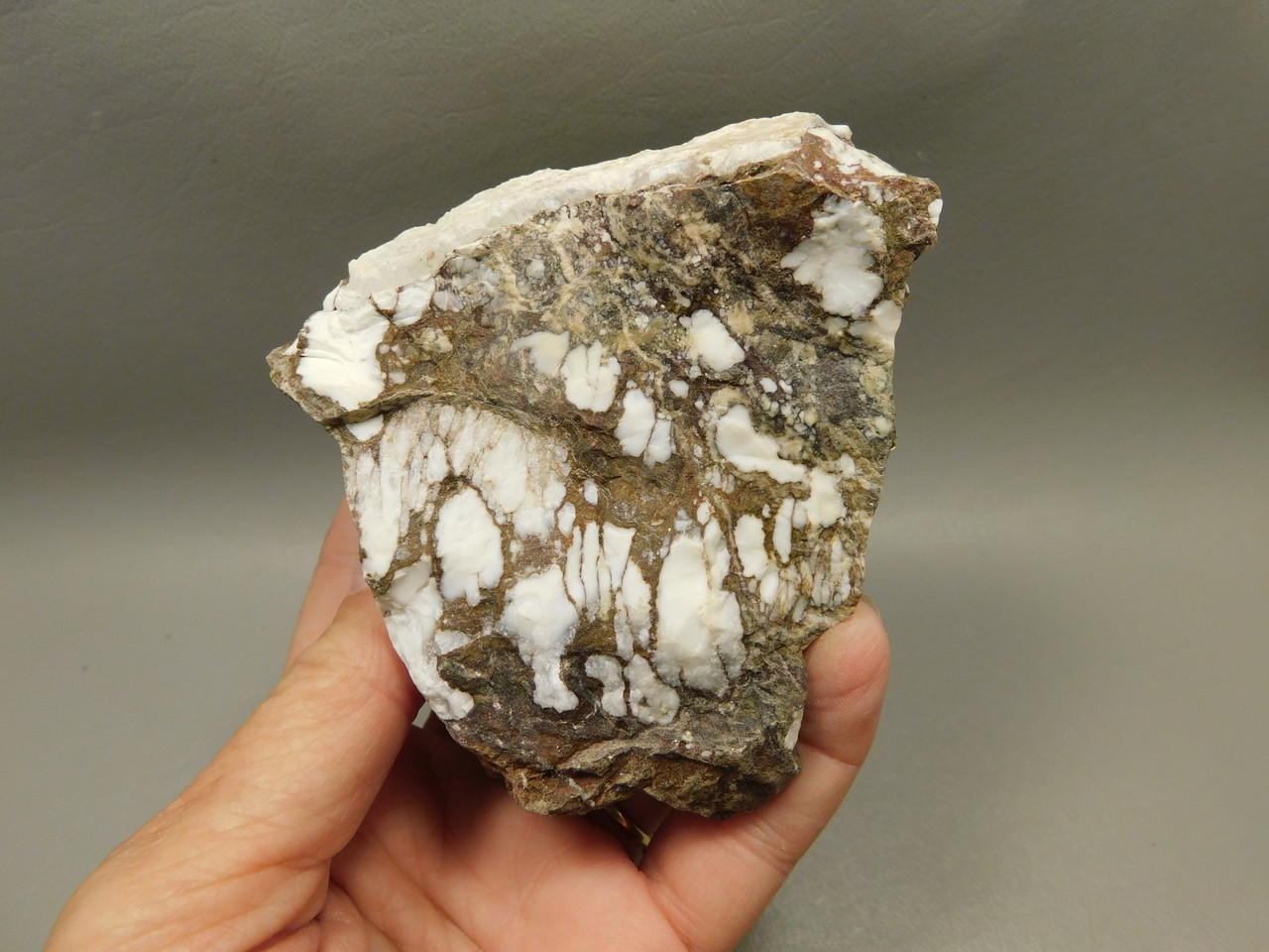 Wild Horse Unpolished Rough Rock Lapidary Arizona #O27