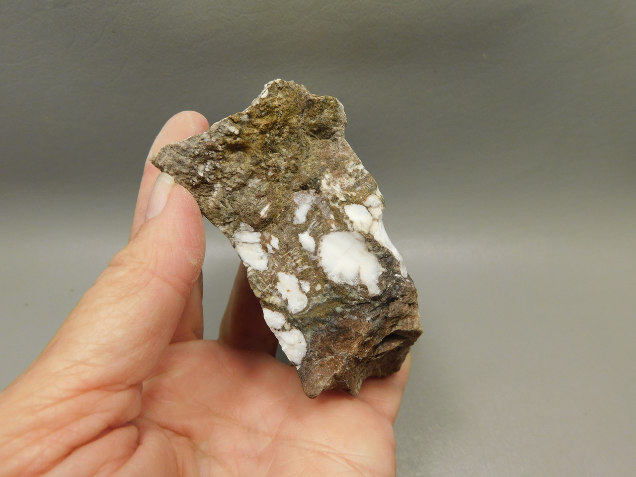 Wild Horse Unpolished Rough Rock Lapidary Arizona #O27
