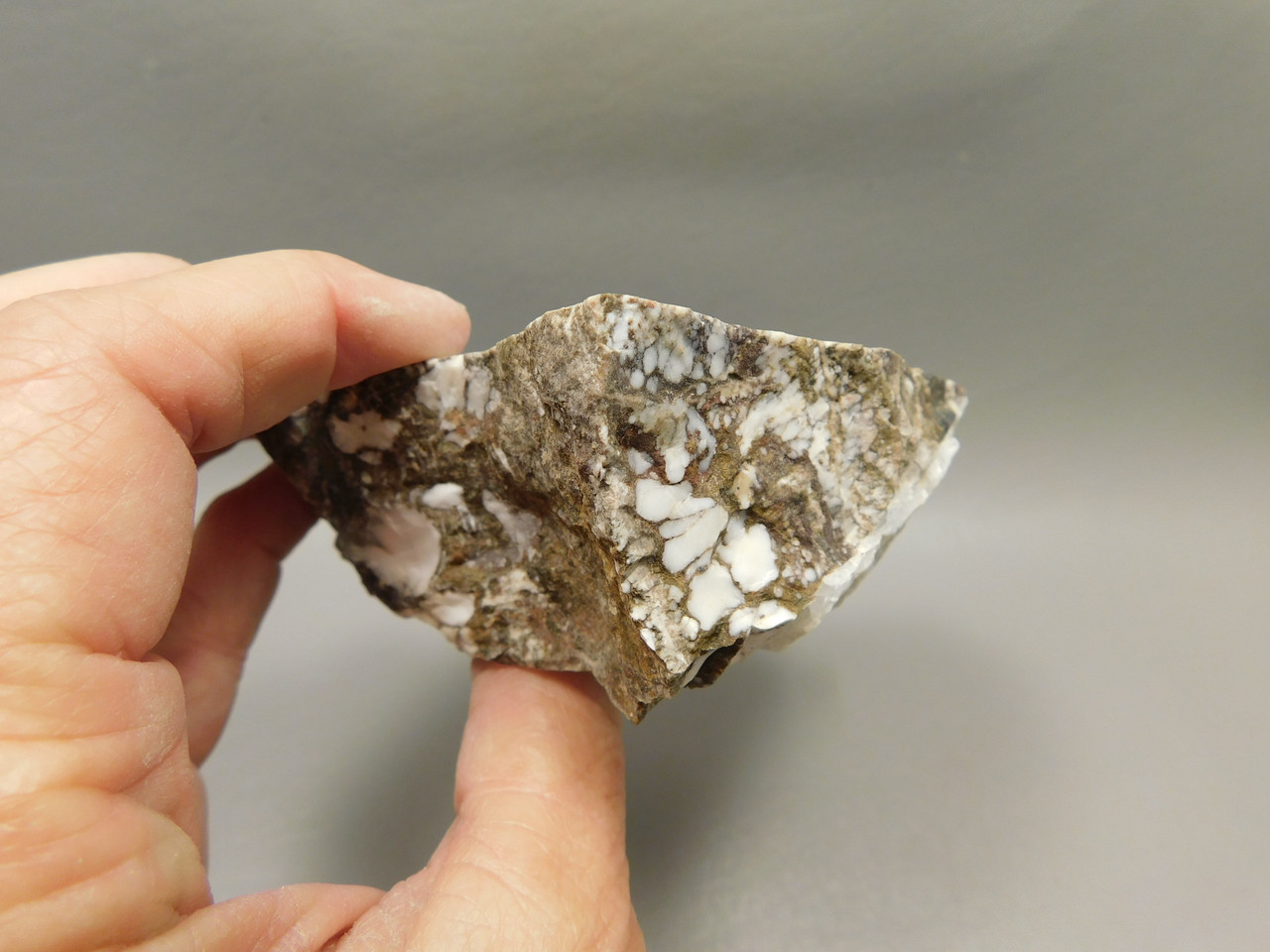 Wild Horse Unpolished Rough Rock Lapidary Arizona #O27