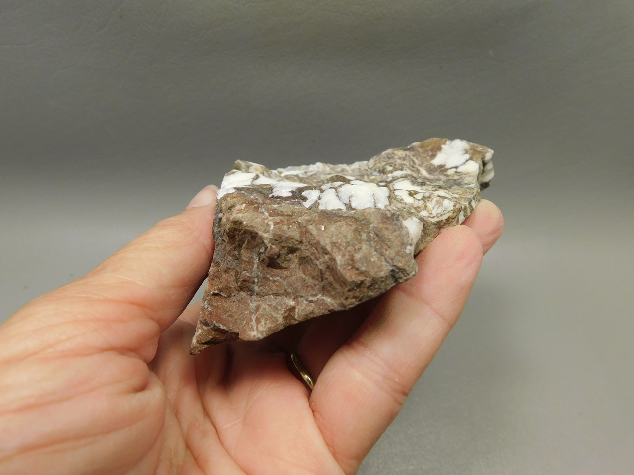 Wild Horse Unpolished Rough Rock Lapidary Arizona #O27