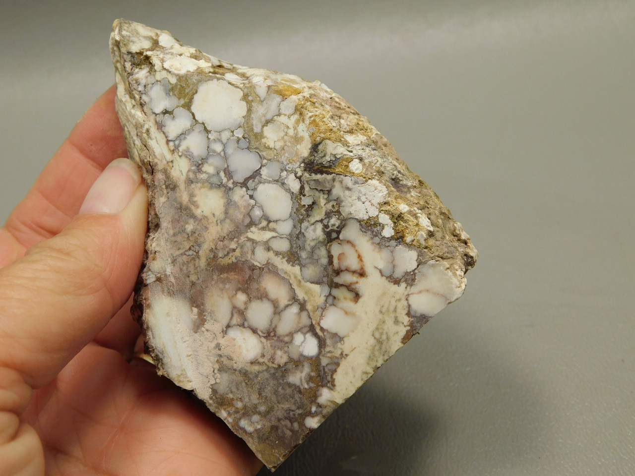 Wild Horse Unpolished Thick Slab Rough Rock Lapidary Arizona #O28