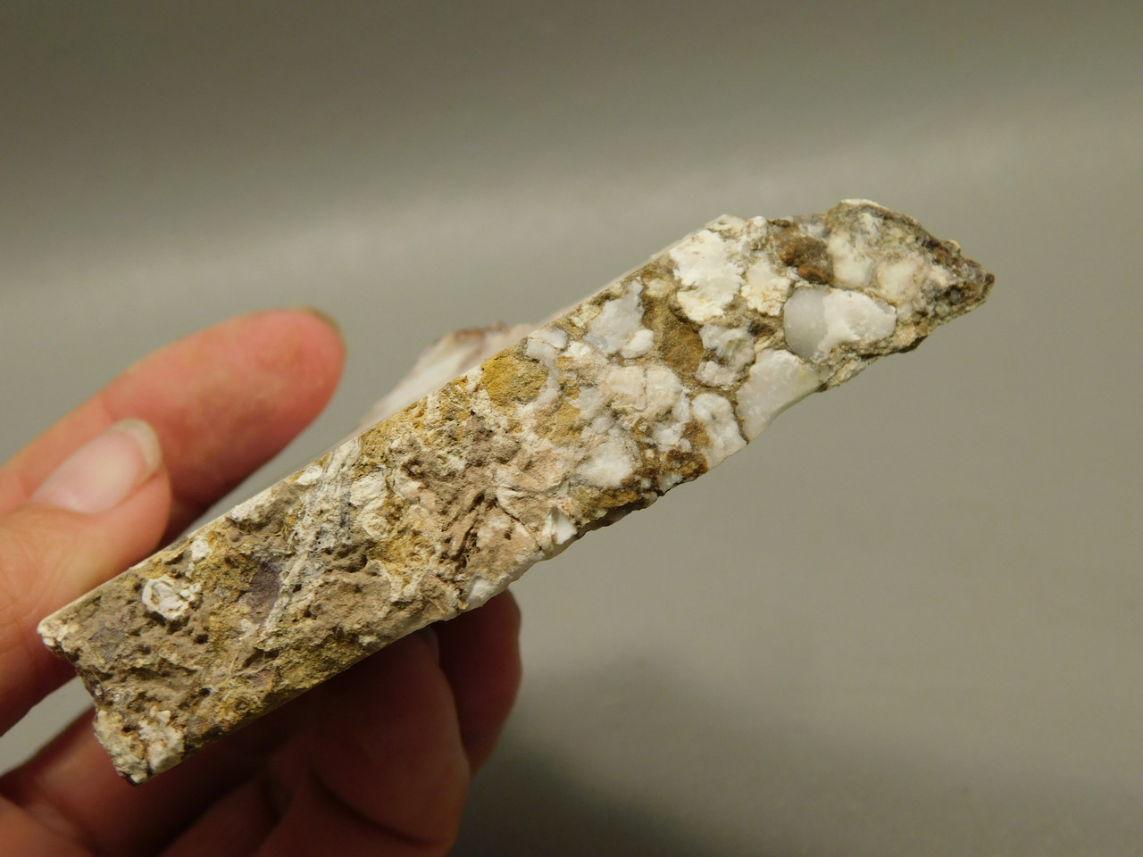 Wild Horse Unpolished Thick Slab Rough Rock Lapidary Arizona #O28