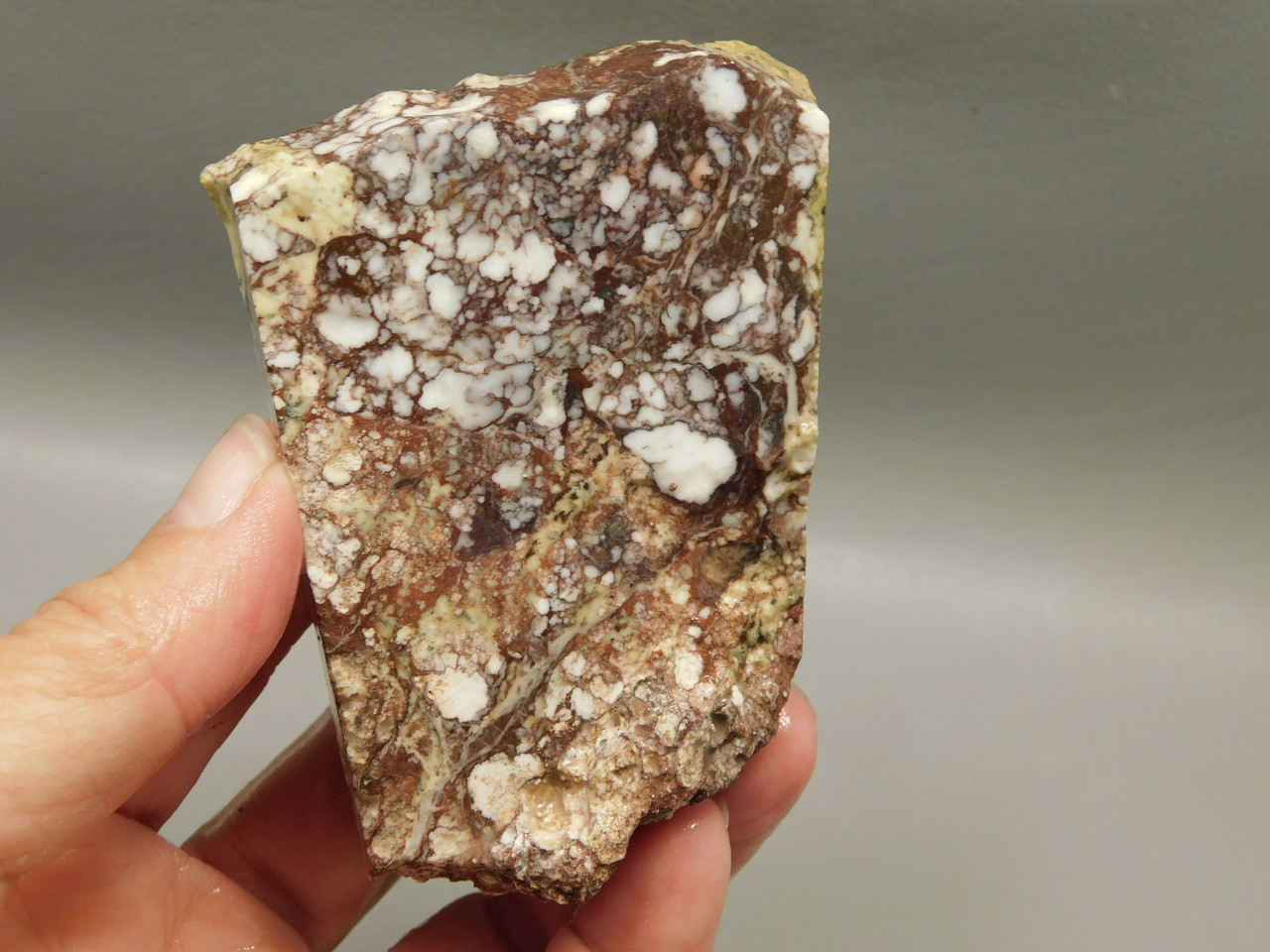 Wild Horse Unpolished Thick Slab Rough Rock Lapidary Arizona #O29