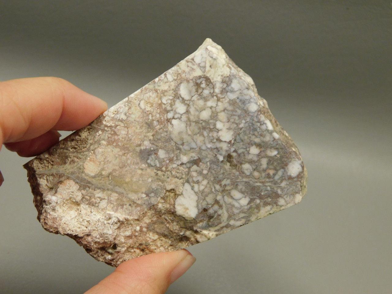 Wild Horse Unpolished Thick Slab Rough Rock Lapidary Arizona #O29