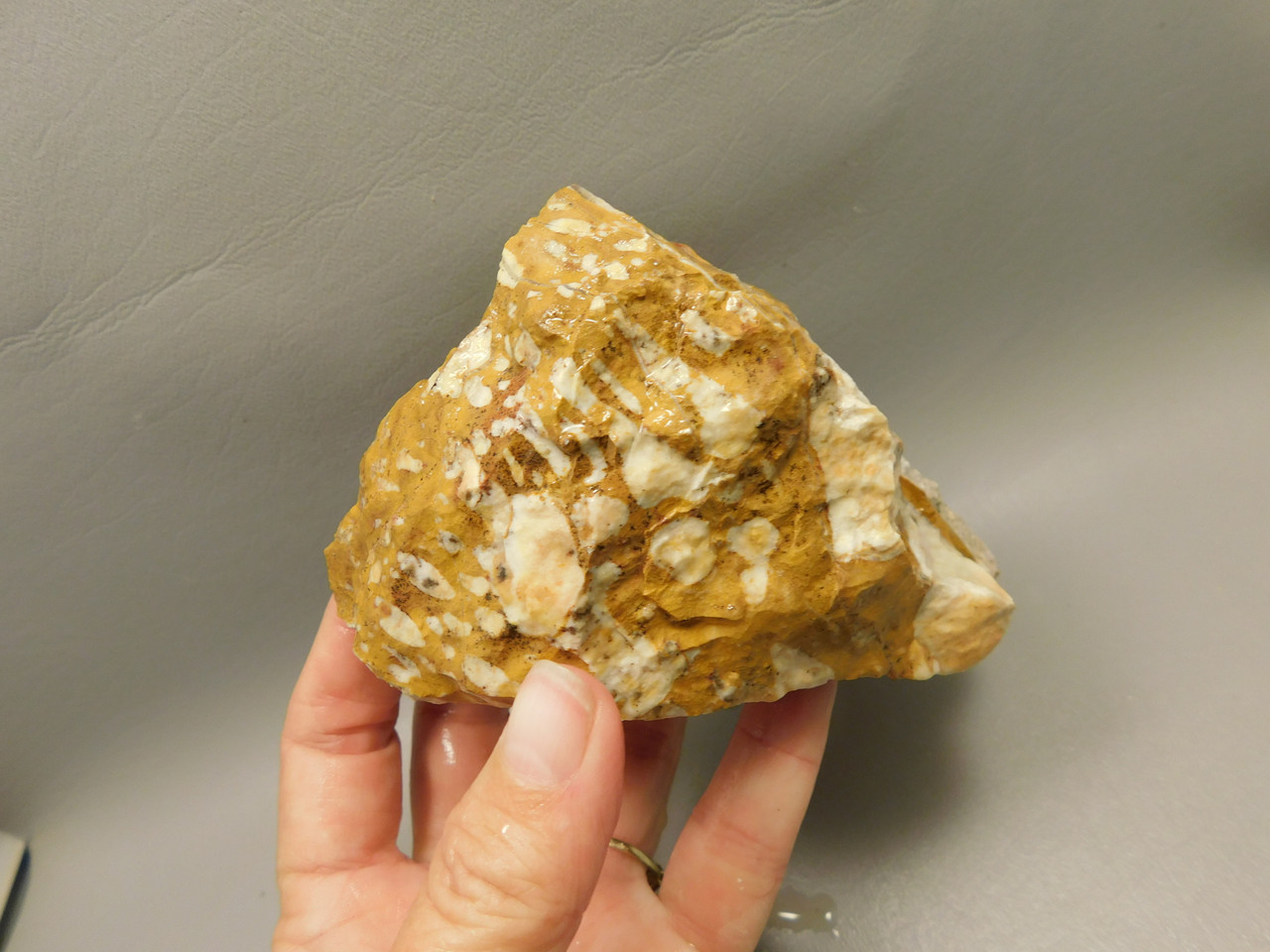 Spotted Fawn Stone or Tigilitis Lapidary Rough Rock #O2