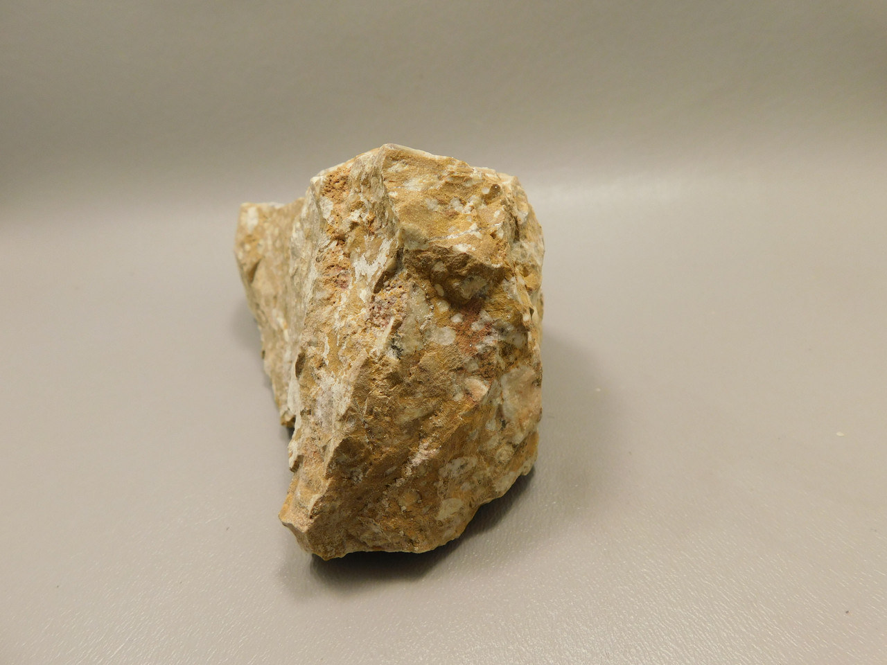 Spotted Fawn Stone or Tigilitis Lapidary Rough Rock #O2