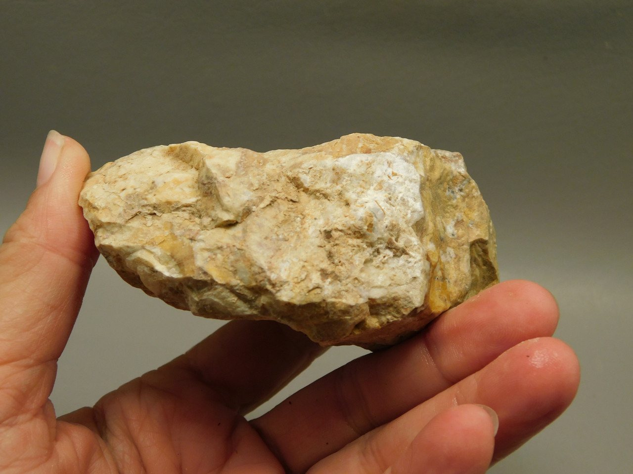 Spotted Fawn Stone or Tigilitis Lapidary Rough Rock #O4