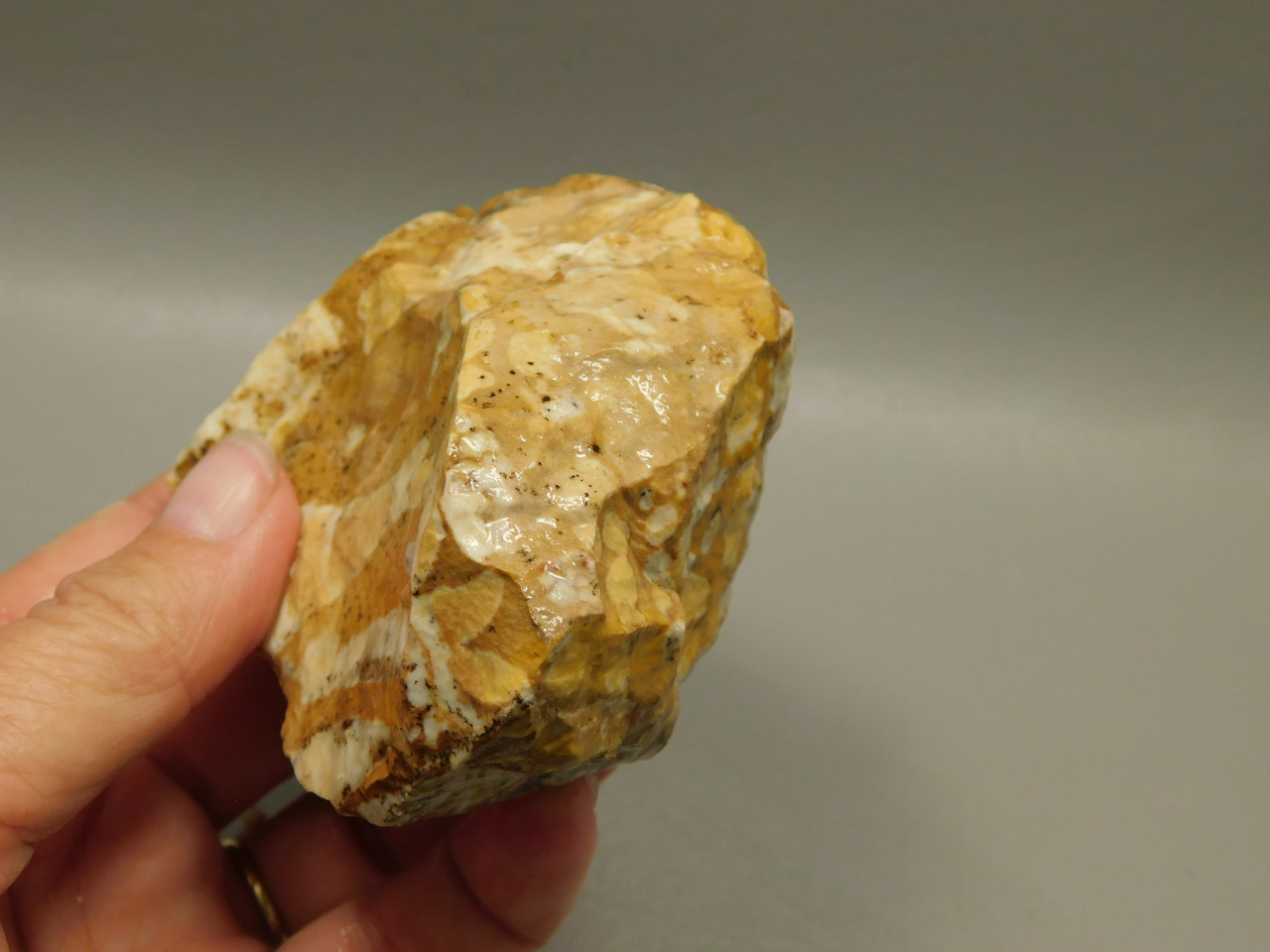 Spotted Fawn Stone or Tigilitis Lapidary Rough Rock #O4