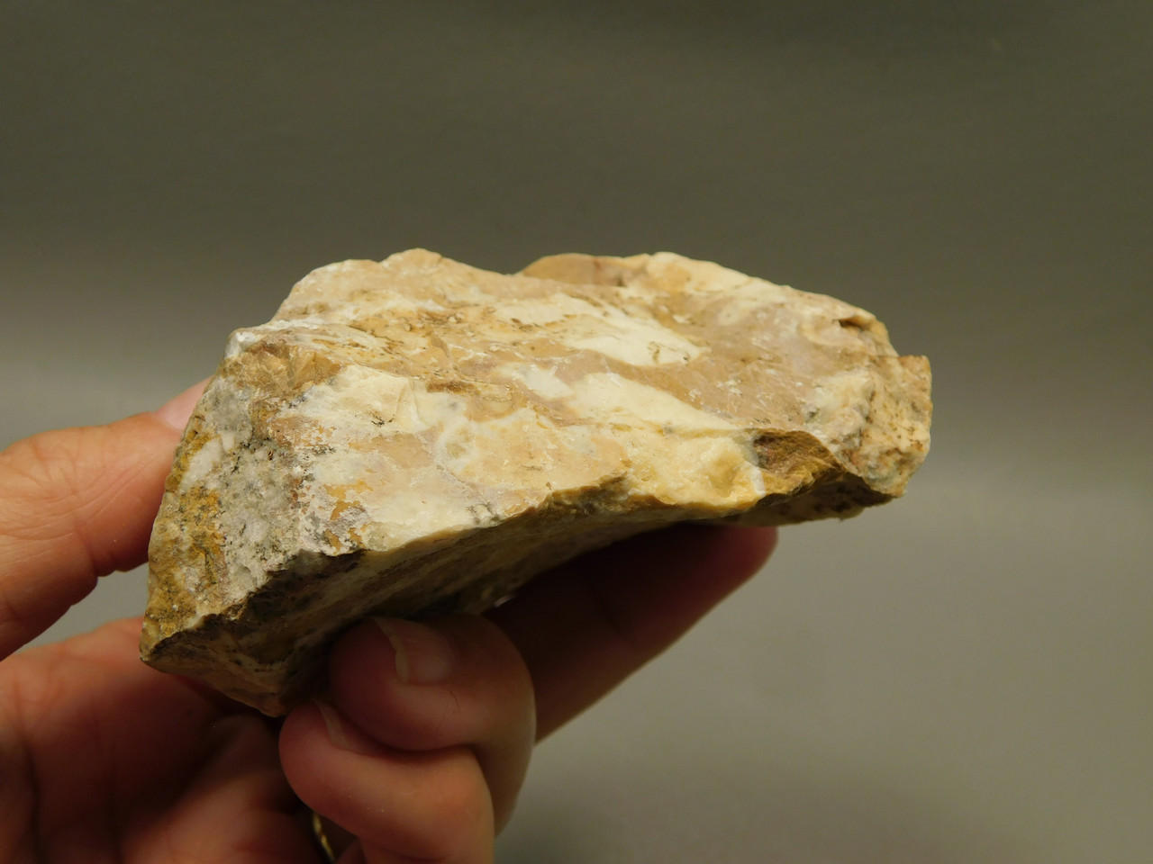 Spotted Fawn Stone or Tigilitis Lapidary Rough Rock #O4