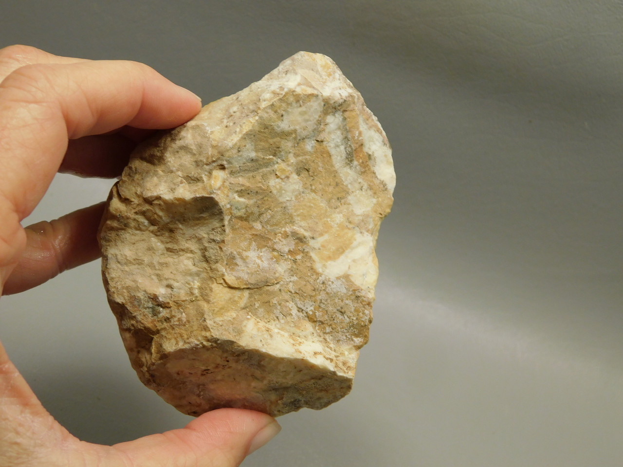 Spotted Fawn Stone or Tigilitis Lapidary Rough Rock #O4