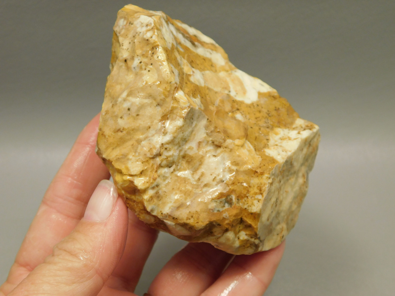 Spotted Fawn Stone or Tigilitis Lapidary Rough Rock #O4