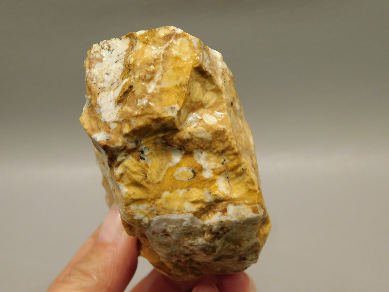 Spotted Fawn Stone or Tigilitis Lapidary Rough Rock #O4