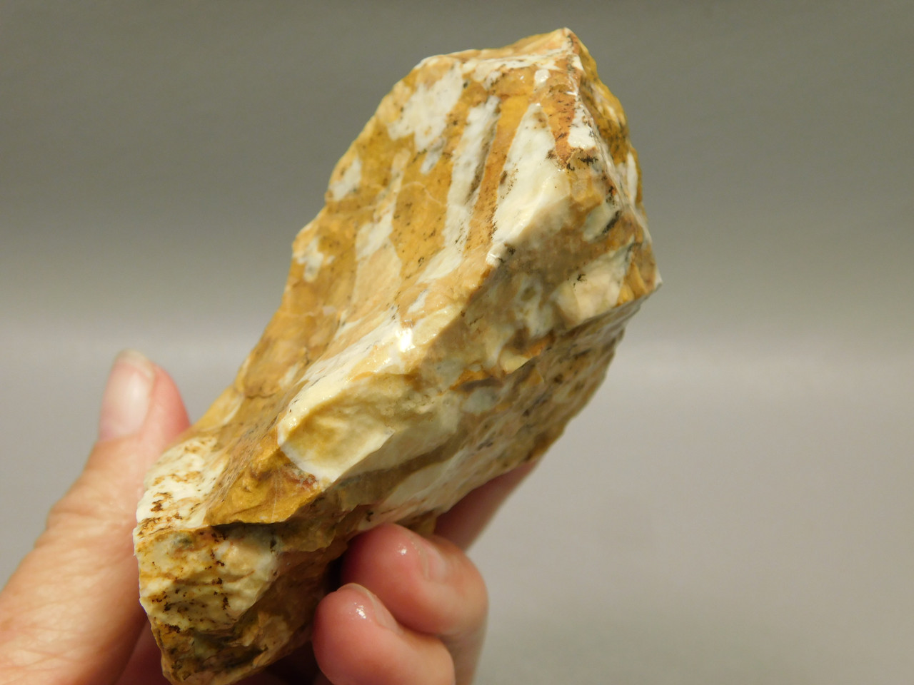 Spotted Fawn Stone or Tigilitis Lapidary Rough Rock #O4