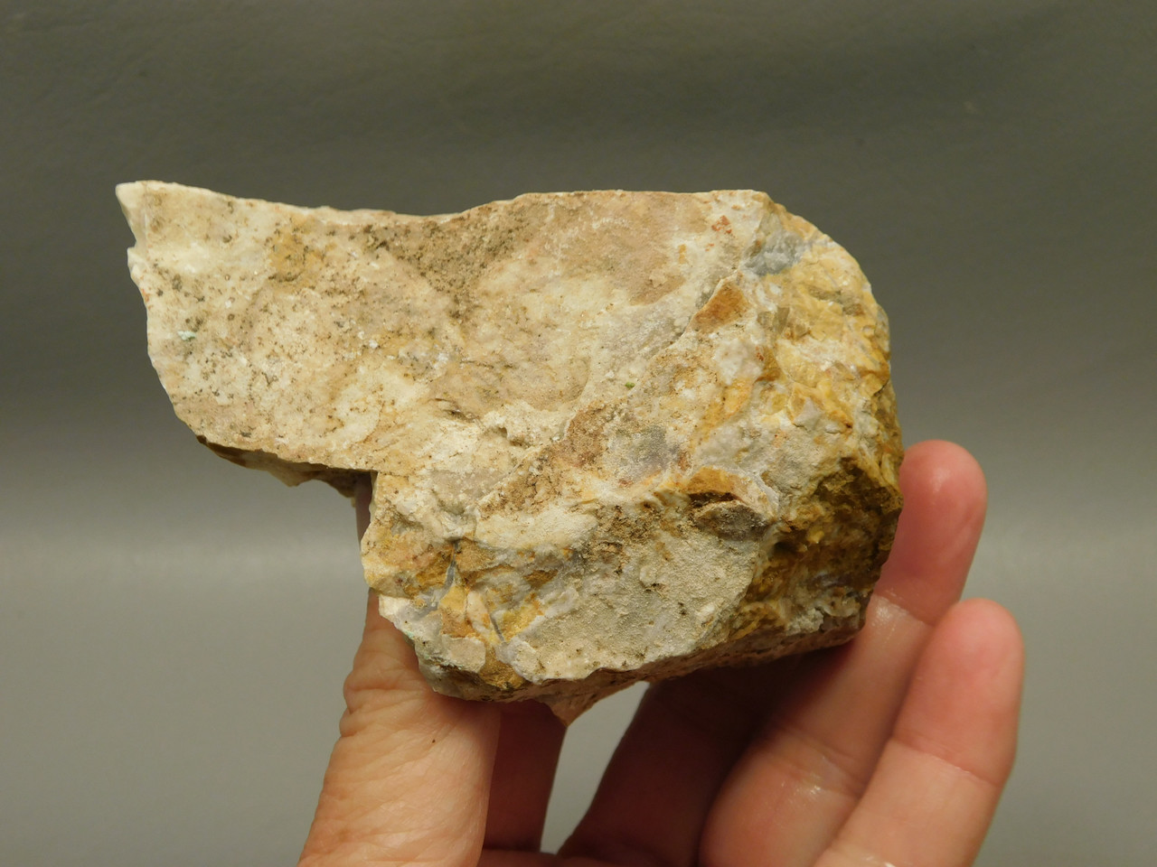Spotted Fawn Stone or Tigilitis Lapidary Rough Rock #O5