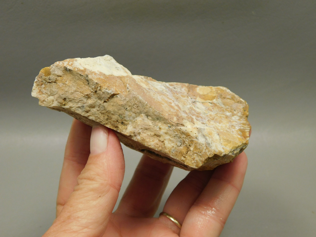 Spotted Fawn Stone or Tigilitis Lapidary Rough Rock #O5