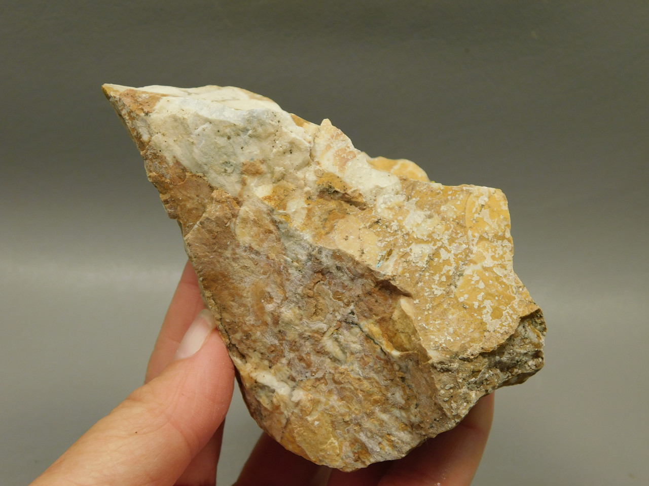 Spotted Fawn Stone or Tigilitis Lapidary Rough Rock #O5