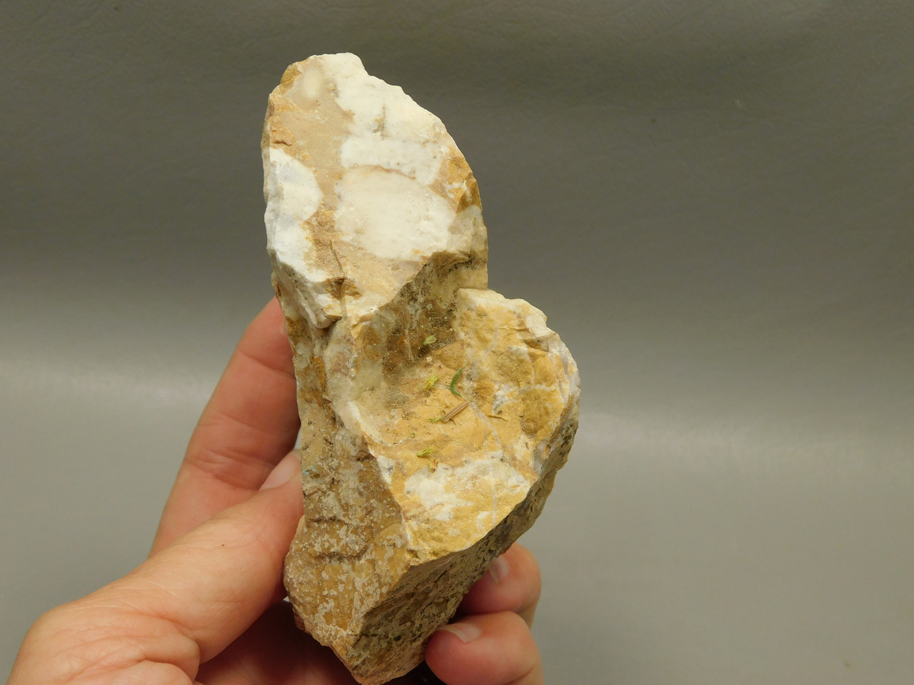 Spotted Fawn Stone or Tigilitis Lapidary Rough Rock #O5