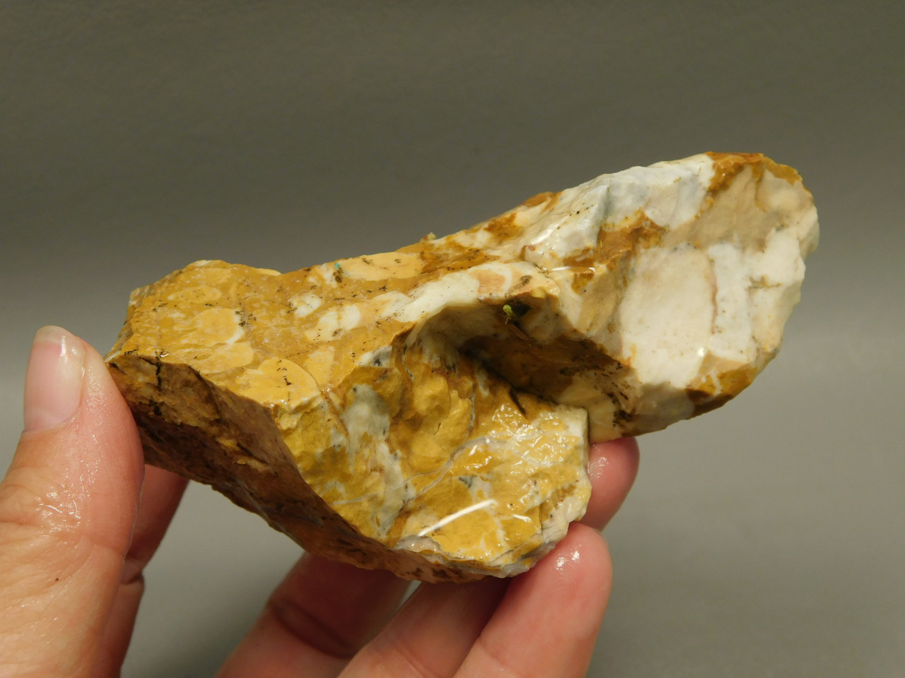 Spotted Fawn Stone or Tigilitis Lapidary Rough Rock #O5