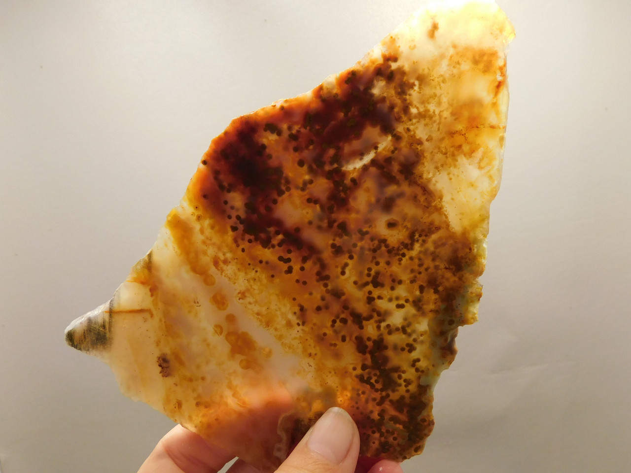 Ocean Jasper Unpolished Stone Slab Natural Lapidary Rock #O11