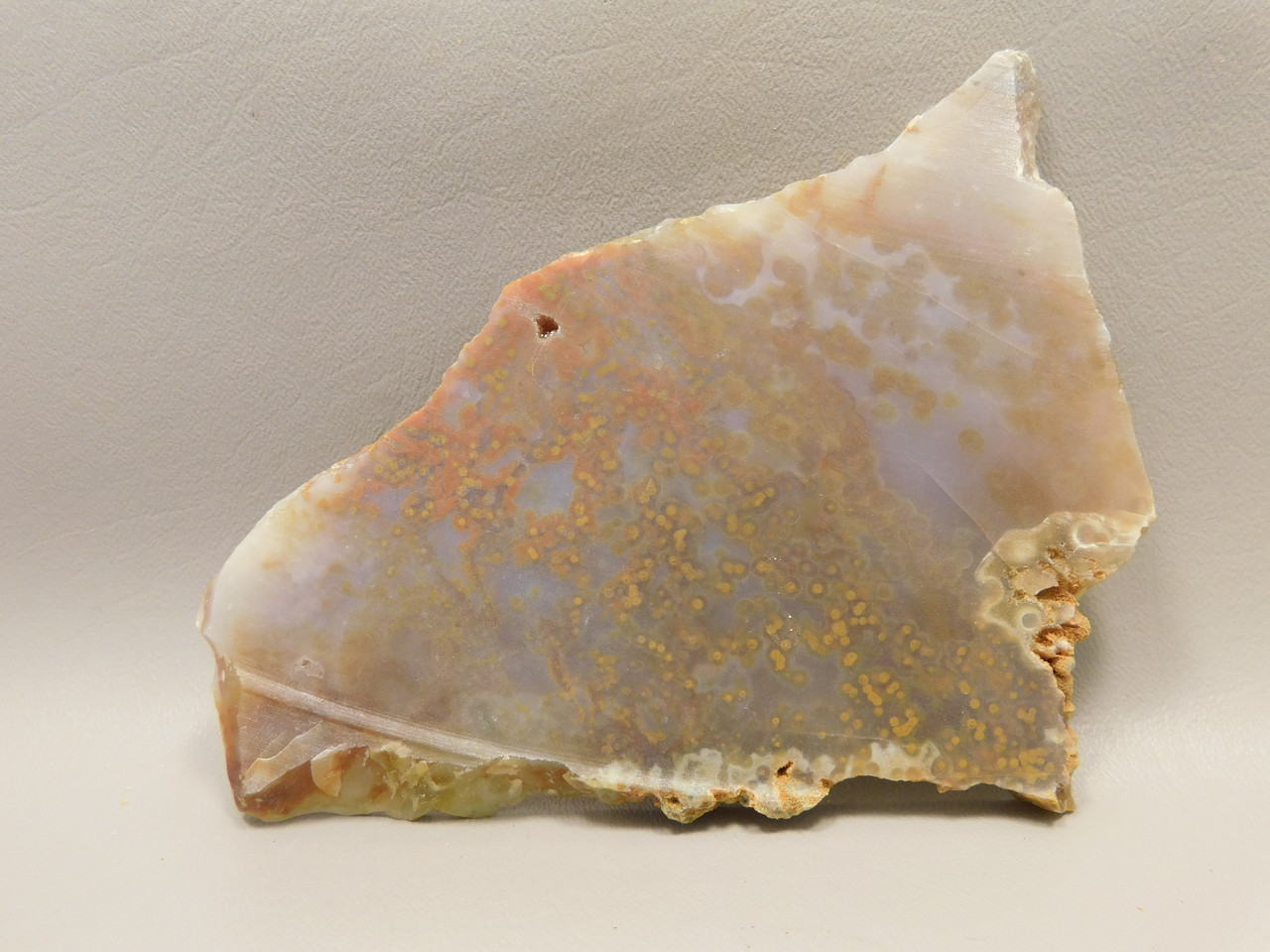 Ocean Jasper Unpolished Stone Slab Natural Lapidary Rock #O12